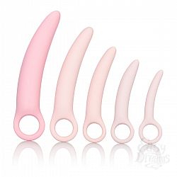    5    Sili Dilator 5 P