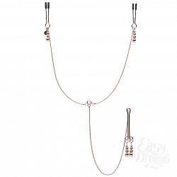        Fifty Shades Freed All Sensation Nipple and Clitoral Chain
