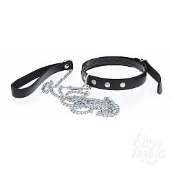  ׸    Collar and Leash