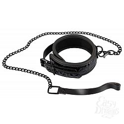        Collar with Leash