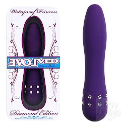     PRINCESS  EN-AD-0002-02-2