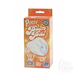   - PALM PAL