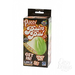    PALM PAL