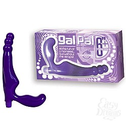   Gal Pal 6  1138-51BXDJ