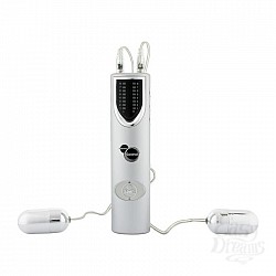    Inducement Silver 2V2429NMC