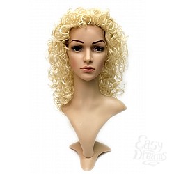   Daniella Wig  -   ,  