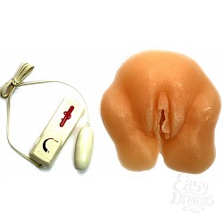   Shaved Pussy