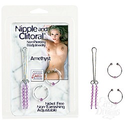     AMETHYST 2612-14 CD SE