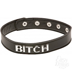   X-Play Bitch Collar