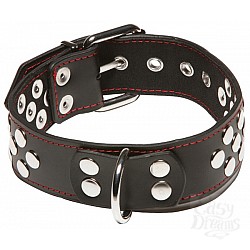     X-Play Collar With D-ring