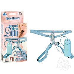  -  DOLPHIN 0613-50 BX SE