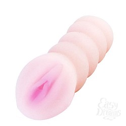     BM-009109