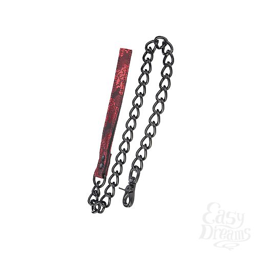  2     Scandal Leash  -