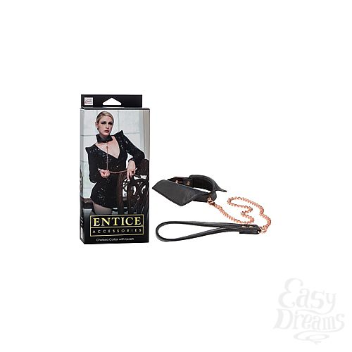  1:  - Entice Chelsea Collar with Leash  - 