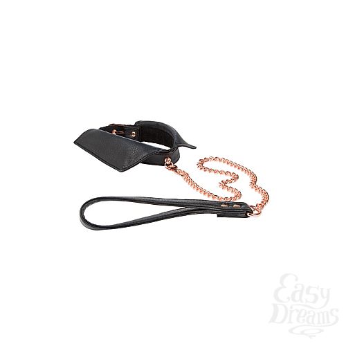  2  - Entice Chelsea Collar with Leash  - 