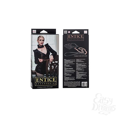  3  - Entice Chelsea Collar with Leash  - 