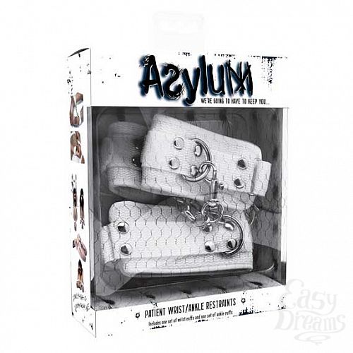  1:   Asylum      