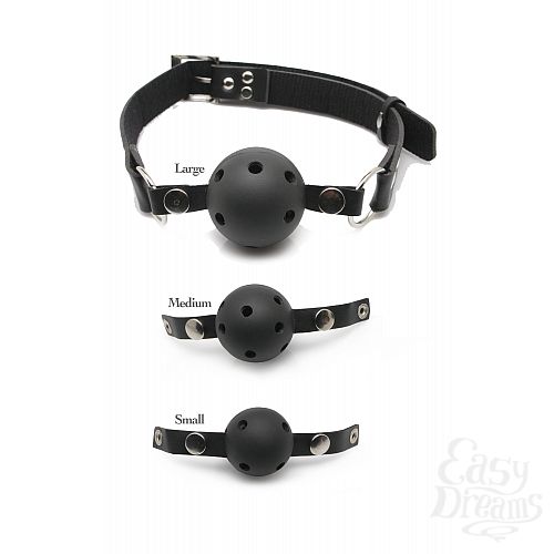  1:     Ff Ball Gag Training System