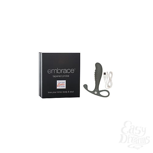  1:     Embrace Tapered Probe 