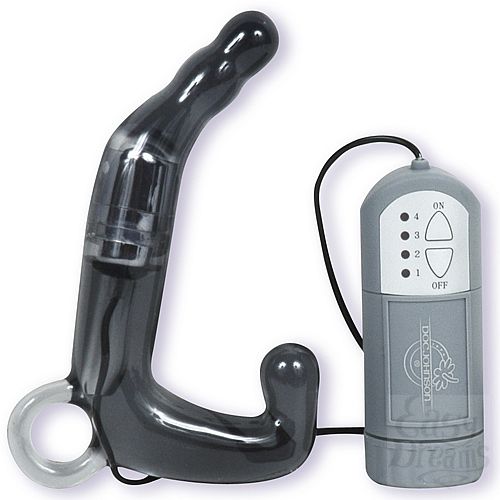  2    PLEASURE WAND  906-00 BX DJ