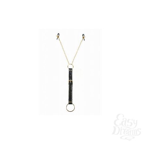  2     Fetish Fantasy Gold Cockring   Nipple Clamps    