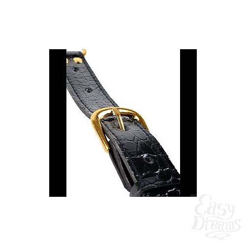  3     Fetish Fantasy Gold Cockring   Nipple Clamps    