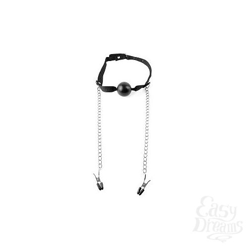  4    Fetish Fantasy Series Ball Gag   Nipple Clamps   