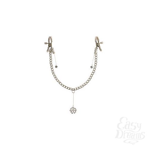  2     Crystal Nipple Clamps