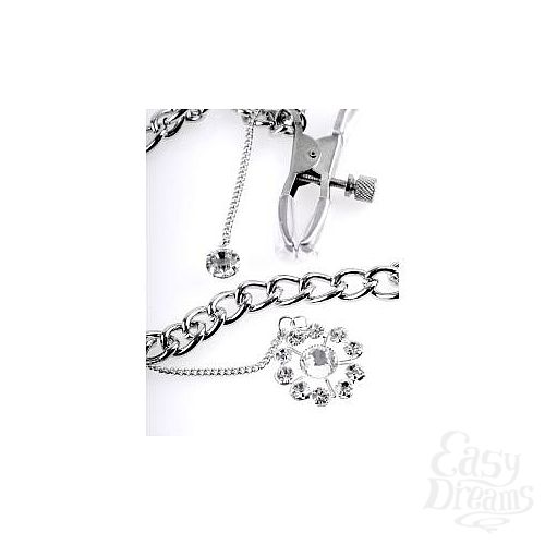  3     Crystal Nipple Clamps