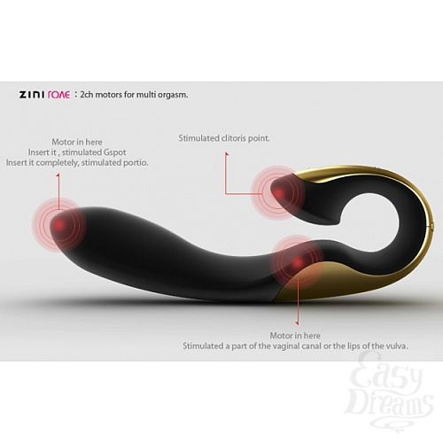  3      G Zini