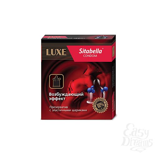  1:   Sitabella      (1119)*12