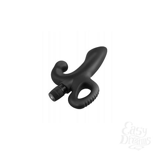 2    Vibrating Prostate Massager  