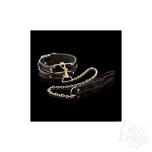  1:     Collar   Leash