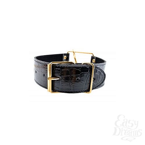  2     Collar   Leash