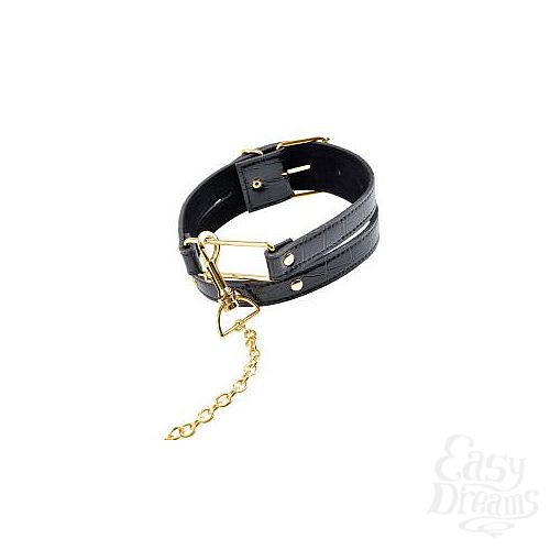  3     Collar   Leash