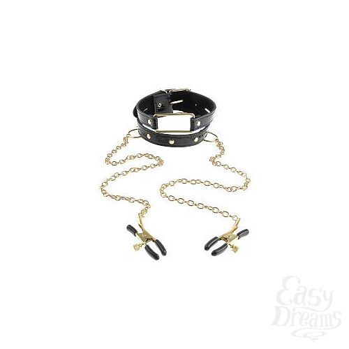  1:  ׸        Gold Collar and Nipple Clamps