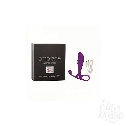  2     Embrace Tapered Probe