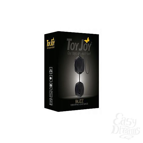  2  ׸   BUZZ VIBRO  