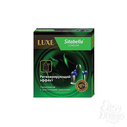  1:   Sitabella      (1117)*12