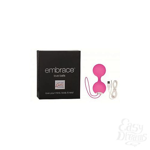  2     Embrace