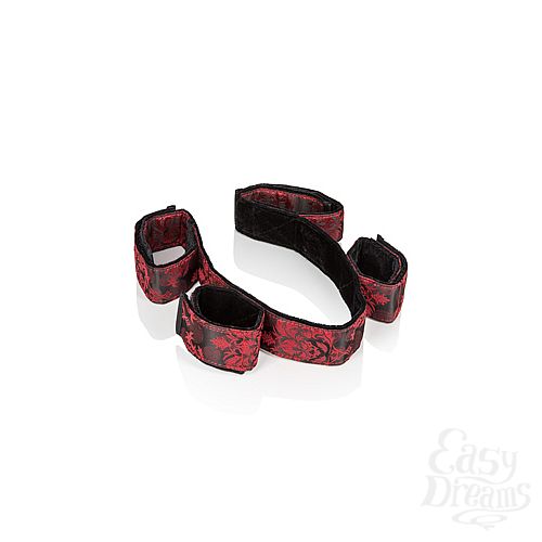  2   Scandal Bondage Bar   