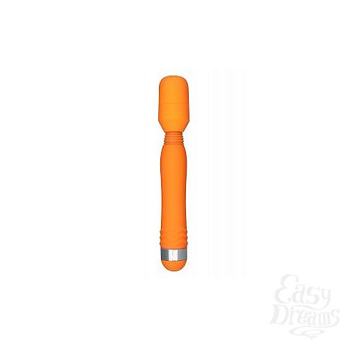  1:    FUNKY WAND MASSAGER - 20 .