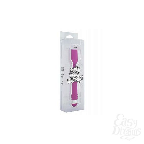 2    FUNKY WAND MASSAGER - 20 .