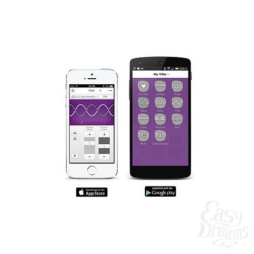  3      We-Vibe 4 Plus  