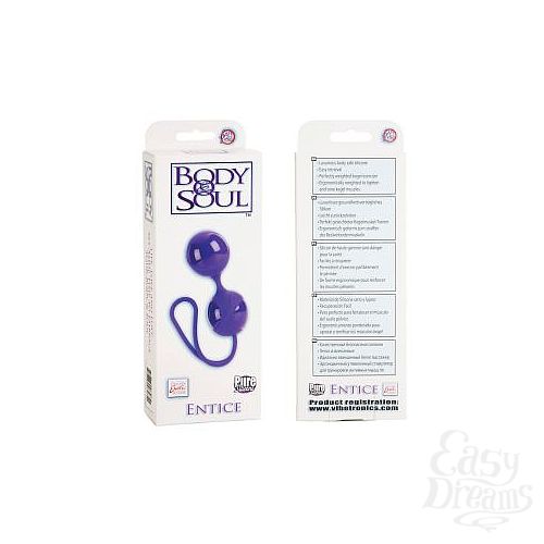  4    BODY SOUL ENTICE