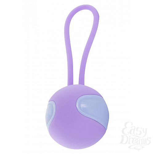  2    DESIRE KEGEL BALL PURPLE  10191TJ