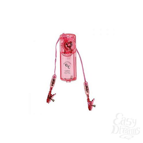  1:     Nipple Clamps 