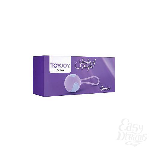  2     DESIRE KEGEL BALL 