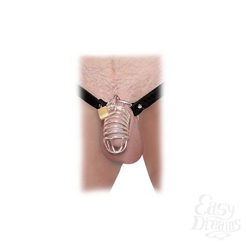  2    Extreme Chastity Belt   