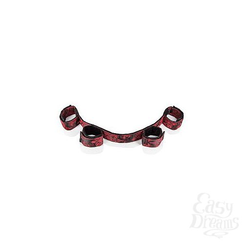  2   Scandal Bondage Bar 
